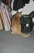 Seamus_0001