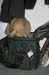 Seamus_0002